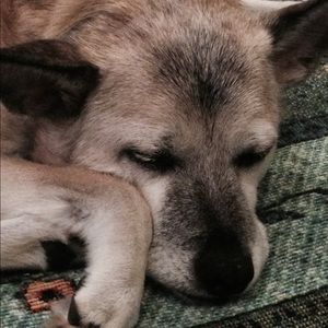 Meet your Posher, Angela